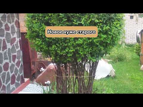 Видео: НОВОЕ ХУЖЕ СТАРОГО
