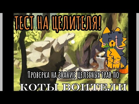 Видео: 🌿ТЕСТ НА ЦЕЛИТЕЛЯ КОТЫ ВОИТЕЛИ! | Целительские трав | Острый Рев |🌿