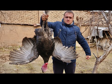 Видео: Узбекистан.Индейка в казане.