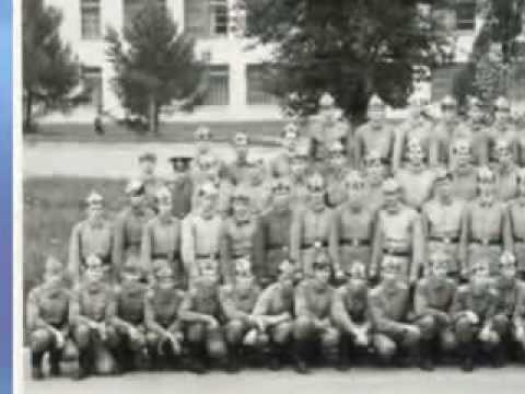 Видео: портреты