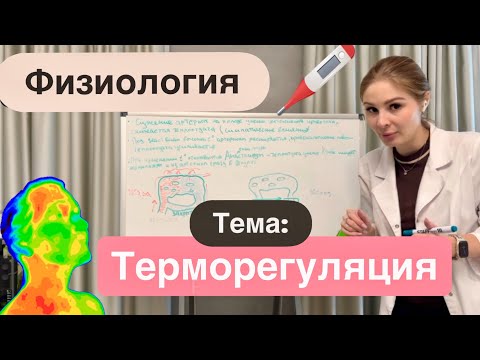 Видео: Нормальная Физиология| Терморегуляция 🌡️🥵| Термогенез и терморецепторы🤒