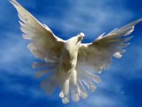 Видео: Пусть я жила без времени