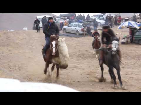 Видео: Улоки Чорух-Даррон 2022/Бузкаши Чорух Дарон 22.01.2022