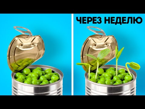 Видео: 27 ЛАЙФХАКОВ ДЛЯ САДОВОДСТВА || Простые способы прорастить семена и крафты для двора
