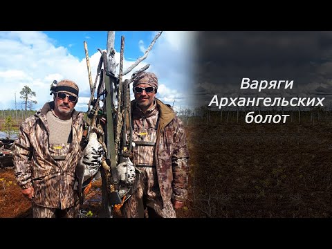Видео: Варяги архангельских болот