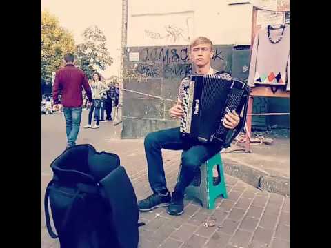 Видео: Ляпис Трубецкой - Воины Света (на баяне)