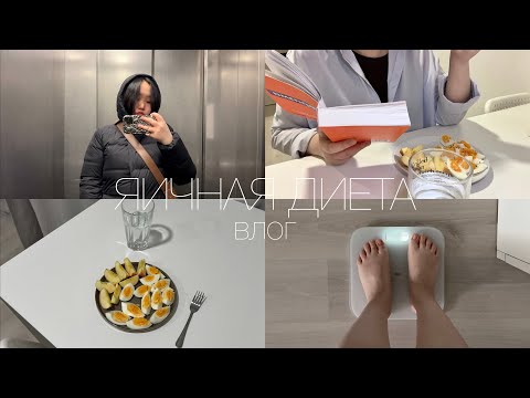 Видео: VLOG корейская яичная диета🥚