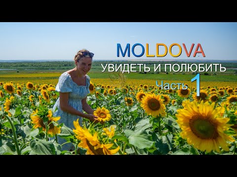 Видео: Молдова. Опьяняющая красота. Природа. Люди. Вино. СЕРИЯ 1  Moldova walking tour. Beautiful places 4K