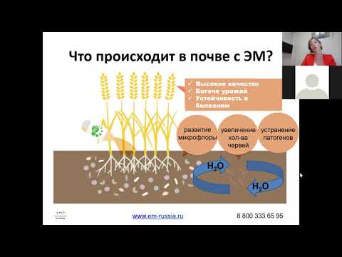 Видео: Вебинар: Важность осенних работ в полях для фермеров