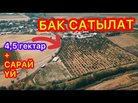 Видео: Идеальный БАК САТЫЛАТ  ~  1000 түп ДАРАК бар