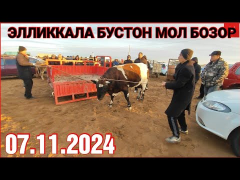 Видео: 7 ноября 2024 ЭЛЛИККАЛА БУСТОН МОЛ БОЗОР НАРХЛАР УЗГАРДИ