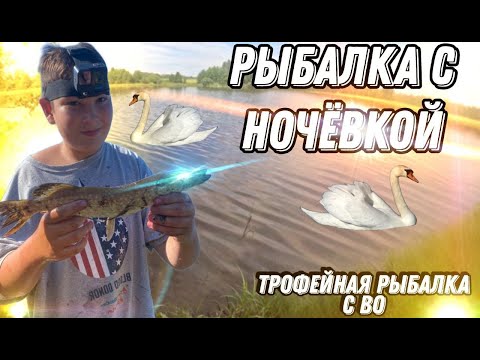 Видео: ПОЙМАЛИ РЕЧНОГО МОНСТРА ПРЯМО НА КРУЖОК ! РЫБАЛКА С НОЧЕВКОЙ ВМЕСТЕ С ПАПОЙ. ТРОФЕЙНАЯ РЫБАЛКА С BO!