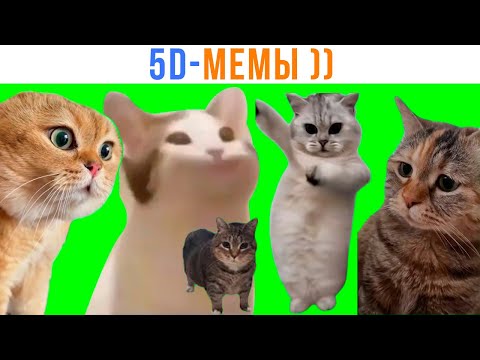Видео: 5D Мемы: ВТОРЖЕНИЕ! ))) Часть 2 | Мемозг 1685