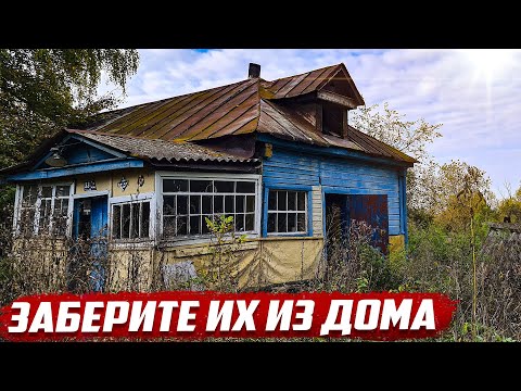 Видео: Почему их бросают!? | Орловская обл, Колпнянский р-он д.Черниково