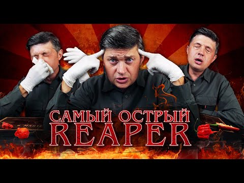 Видео: Перец Carolina Reaper.  Самый острый в мире?