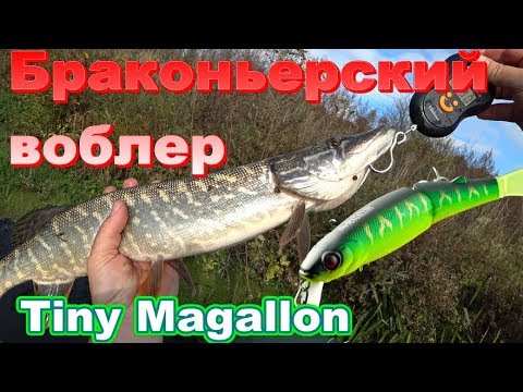 Видео: Никогда не покупайте воблер Jackall Tiny Magallon. Он истребляет всю щуку. Браконьерский воблер.