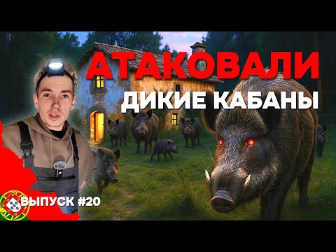 Видео: Мой дом атакуют дикие кабаны! Спасаю огород в Португалии | Дом в Португалии. Выпуск 20