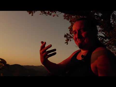 Видео: Как гитарные фунфурье Павла Федоровича облапошили