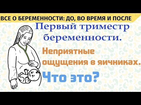 Видео: Первый триместр. Неприятные ощущения в яичниках