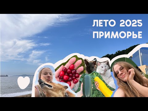 Видео: отпуск в приморском крае | деревенские будни и владивосток