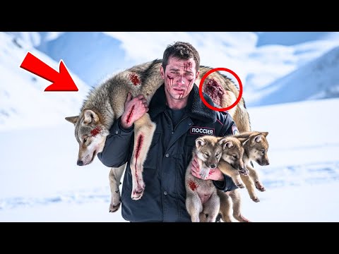 Видео: "НЕ СМЕЙ УМИРАТЬ!" — С виной, офицер пошел в бурю спасти волка... И НАШЕЛ ЖЕСТОКУЮ ПРАВДУ