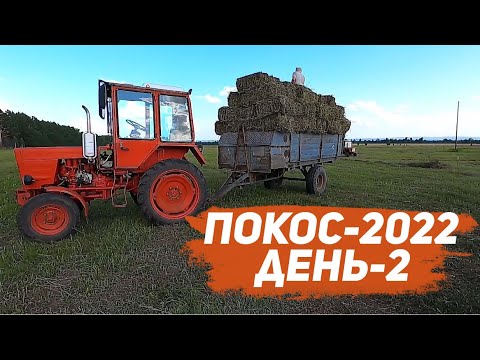Видео: Покос продолжение, день второй.
