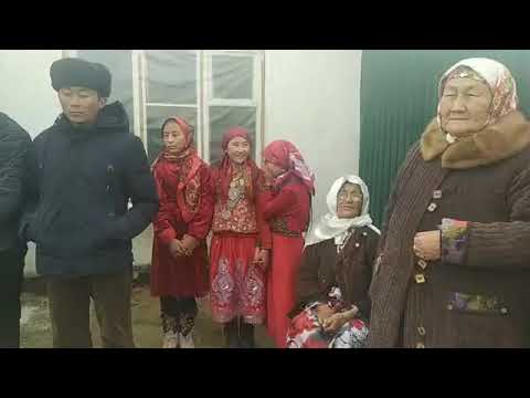 Видео: Памирден 9 үй бүлө Алайга көчүп келди
