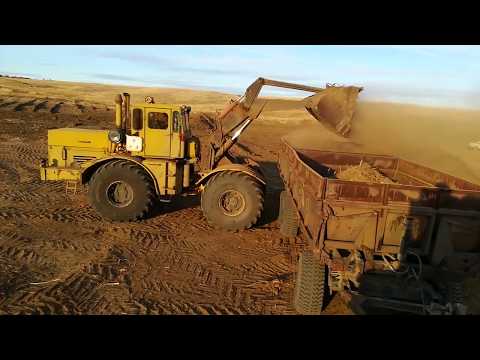 Видео: Трактор Кировец. Чистим пруд и возим сапропель на поле.