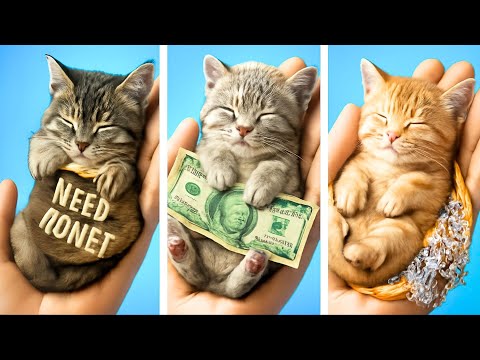 Видео: 🏡 СОБАКА против КОТА: КТО ПОЛУЧИТ САМУЮ СЕКРЕТНУЮ КОМНАТУ?! 🐾