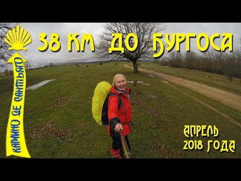 Видео: Мой пятый день Камино / 38 км пешком до Бургоса / Camino De Santiago