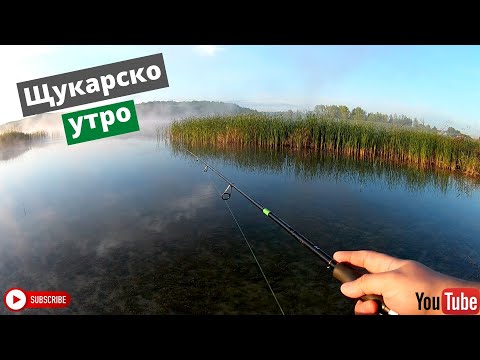 Видео: Щукарско утро