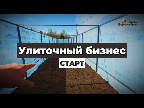 Видео: Улиточная ферма с нуля: Бизнес на улитках! 🐌 Старт