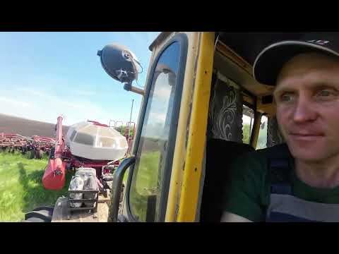 Видео: Трактор Кировец. Посев нута.