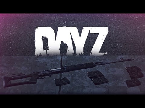 Видео: Хотела одну СВД, а получила три - DayZ