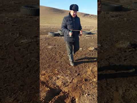 Видео: 2021 ж. 18 желтоқсан