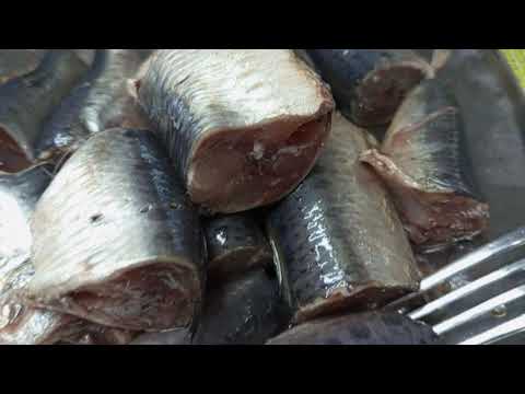 Видео: Сардина дальневосточная (ИВАСИ) ПРЕСЕРВЫ