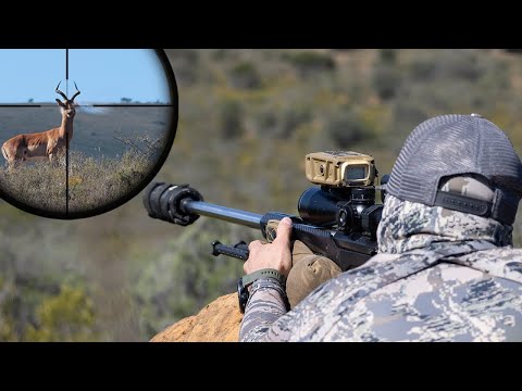 Видео: Управление Impala Culling Hunt (Форт-Импакт 4000)