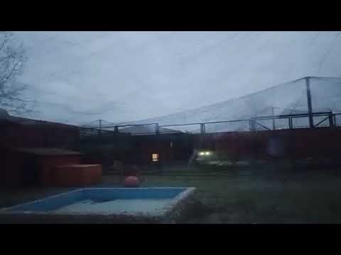 Видео: 02.11.Шерханчик:Возмущению нет предела. Где ужин?! зоопарк до 18ч
