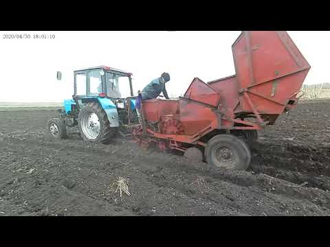 Видео: ПОСАДКА КАРТОФЕЛЯ 2020г.