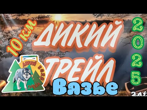 Видео: Дикий Трейл 01.11.2025 г. д. Вязье