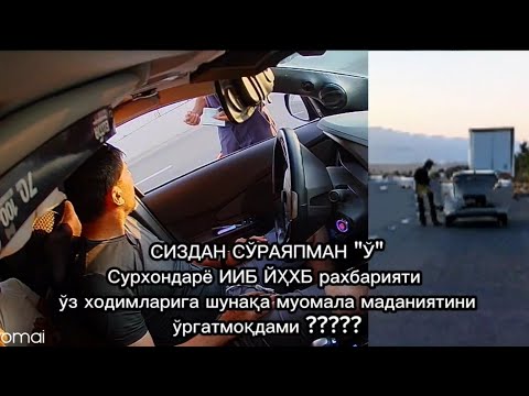 Видео: Уз.ГАИ: Сиздан сўраяпман "Ў"
