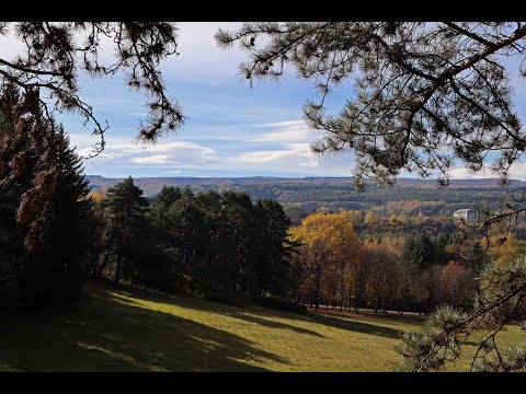 Видео: Кисловодск. Прогулка по парку.