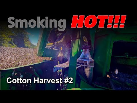 Видео: Чуть не поджечь сборщика хлопка... Сбор хлопка №2