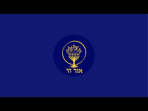 Видео: OrChai / ОрХай 08.11.25