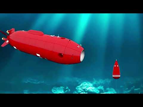 Видео: Что скрывает загадочная бездна Челленджера на дне мирового океана?