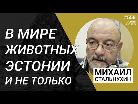 Видео: В мире животных Эстонии и не только | Radio Narva | 558