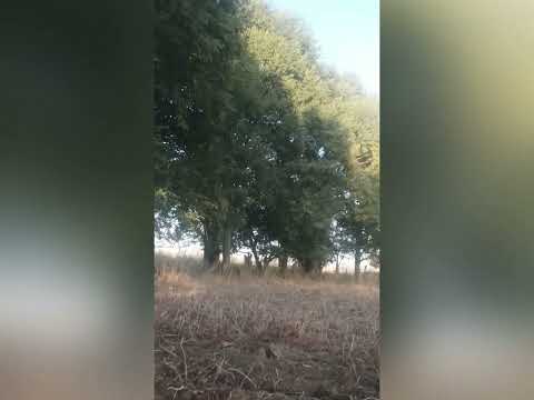 Видео: 79. Алтын Доорго кантип өтөбүз?🤔    Гульшан Жолбунова