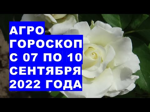 Видео: Агрогороскоп с 07 по 10 сентября 2022 года