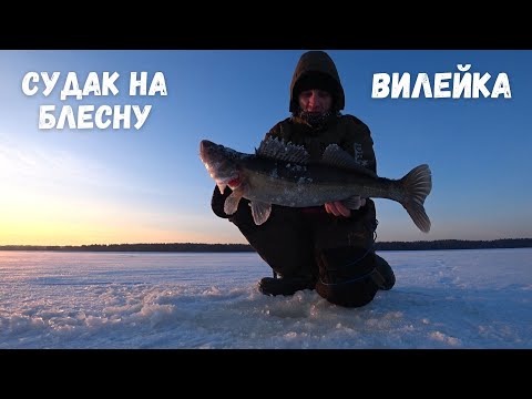 Видео: Рождественская рыбалка в -20 °C на Вилейском водохранилище!