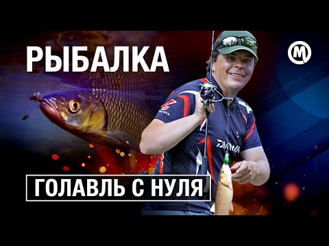 Видео: Голавль с НУЛЯ! Ловля летнего голавля в микроречках!